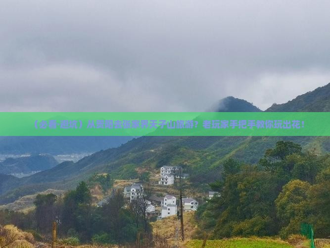 贵阳去张家界天子山旅游