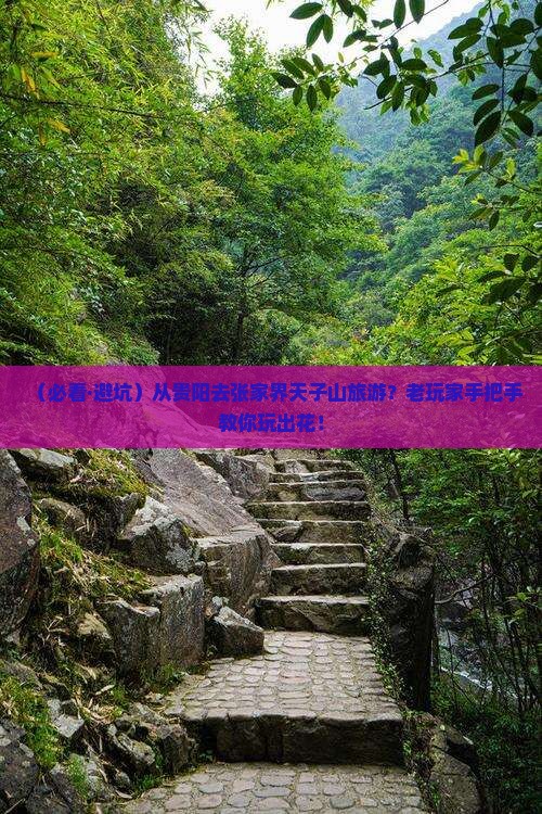 贵阳去张家界天子山旅游