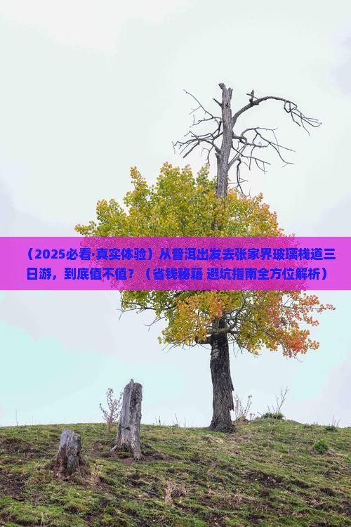 普洱去张家界玻璃栈道三日游
