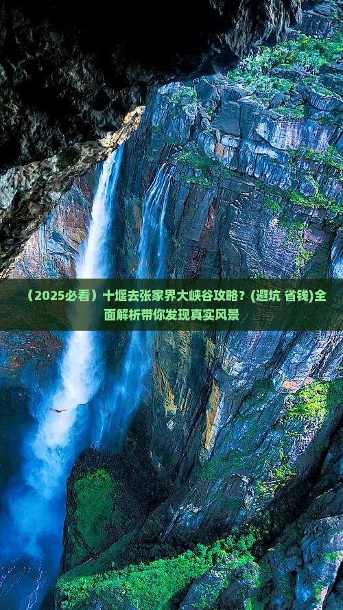 十堰去张家界大峡谷攻略