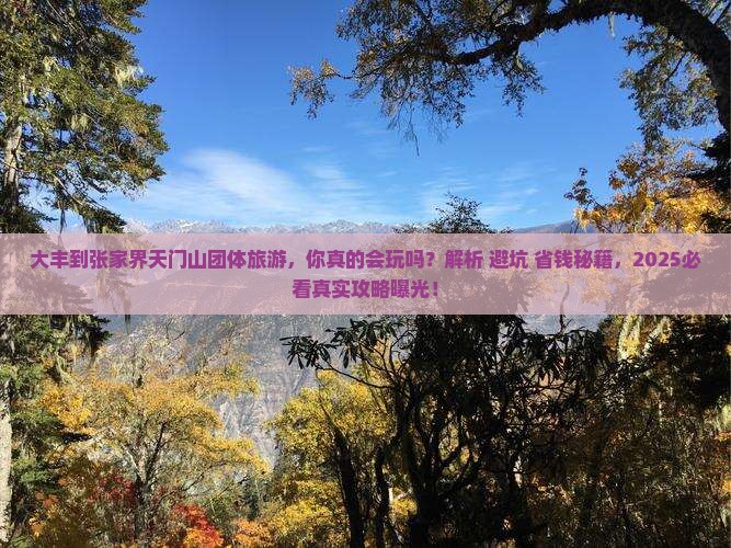 大丰到张家界天门山团体旅游