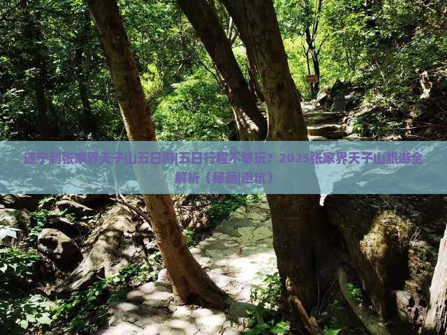 遂宁去张家界天子山五日游
