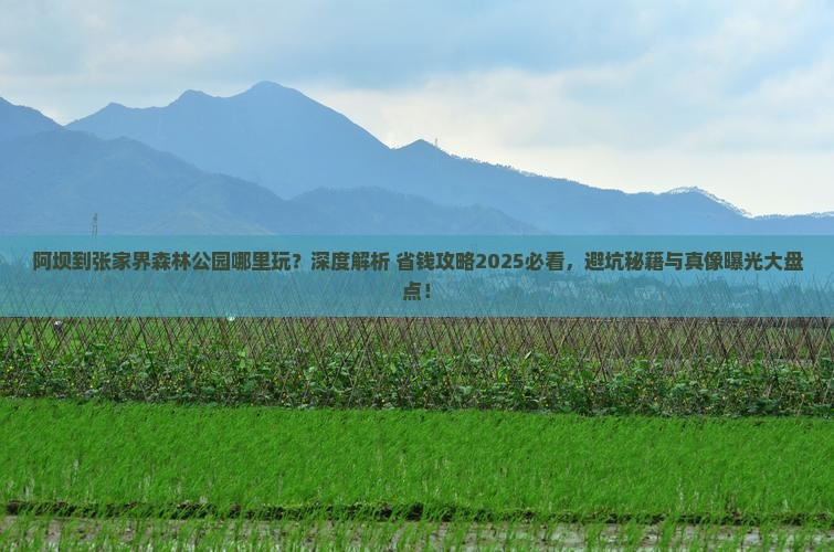 阿坝到张家界森林公园哪里玩