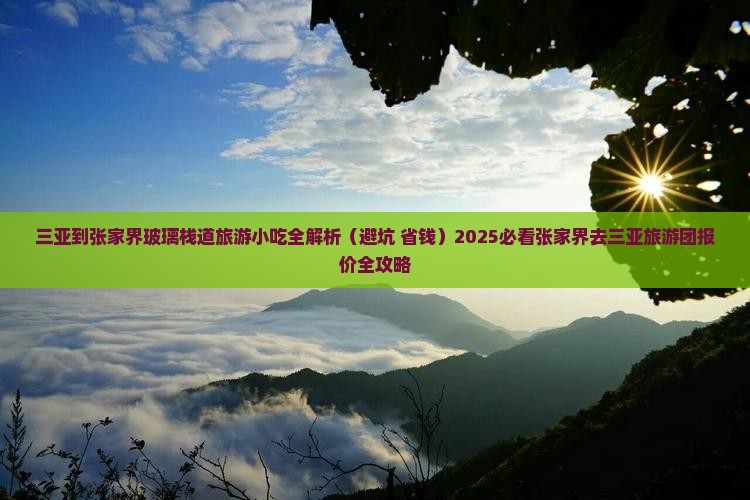 三亚到张家界玻璃栈道旅游小吃