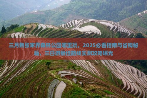 三月到张家界森林公园哪里玩