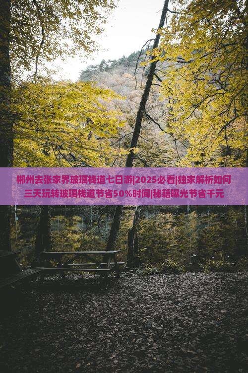 郴州去张家界玻璃栈道七日游