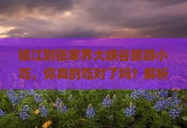 镇江到张家界大峡谷旅游小吃