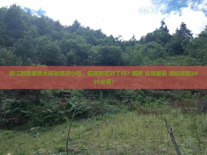 镇江到张家界大峡谷旅游小吃