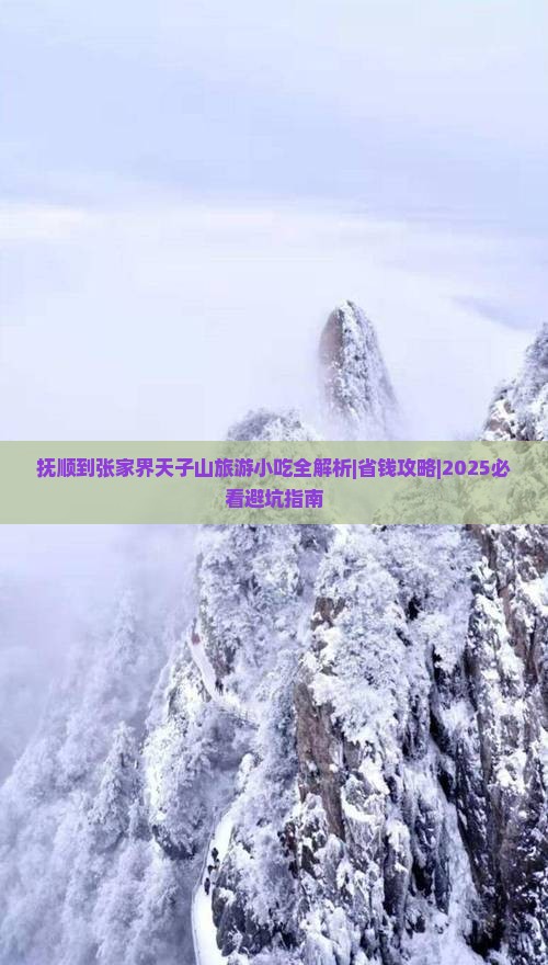 抚顺到张家界天子山旅游小吃