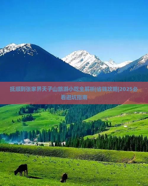 抚顺到张家界天子山旅游小吃