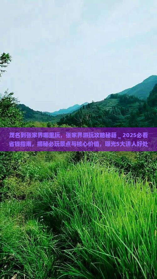 茂名到张家界哪里玩