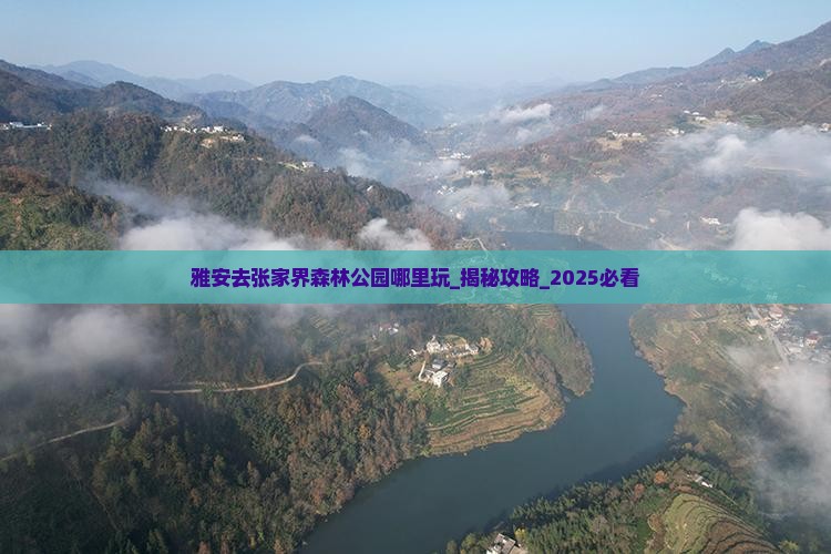 雅安去张家界森林公园哪里玩