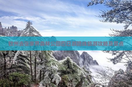 钦州去张家界森林公园四日游