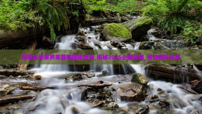 襄阳去张家界芙蓉镇团体旅游