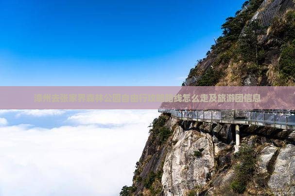 漳州去张家界森林公园自由行