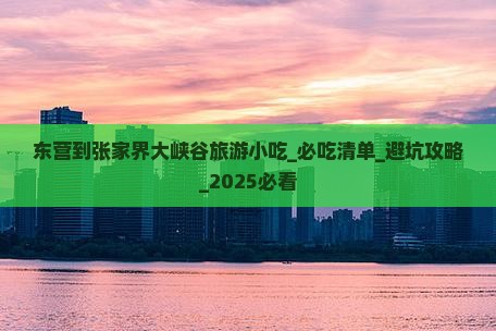 东营到张家界大峡谷旅游小吃