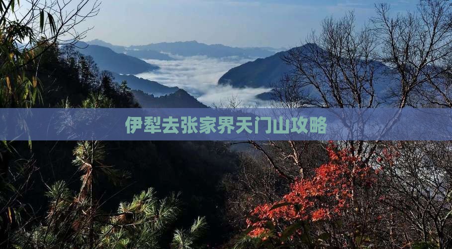 伊犁去张家界天门山攻略
