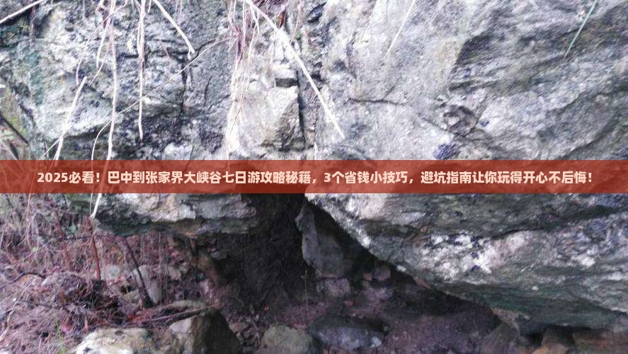 巴中到张家界大峡谷七日游