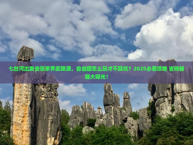 七台河去张家界武陵源自由团