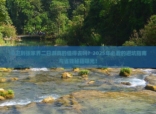 中卫到张家界二日游