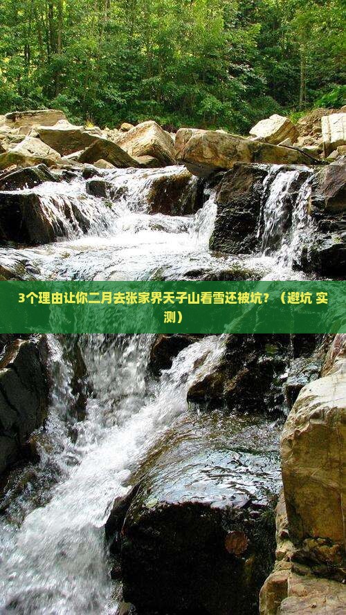 二月到张家界天子山团体旅游