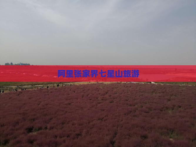 阿里去张家界七星山旅行社