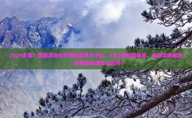 海拉尔到张家界天子山大型旅游团