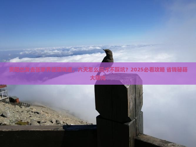 贵阳去张家界玻璃栈道六日游