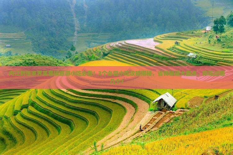 内江到张家界芙蓉镇旅游小吃