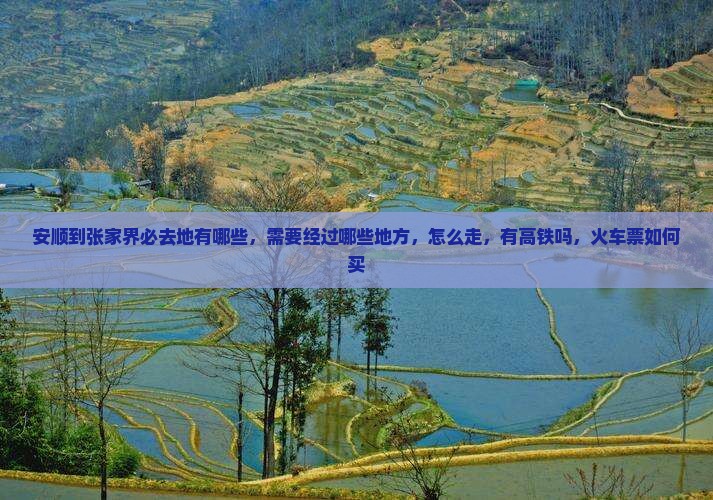 安顺到张家界必去地 安顺到张家界必去地