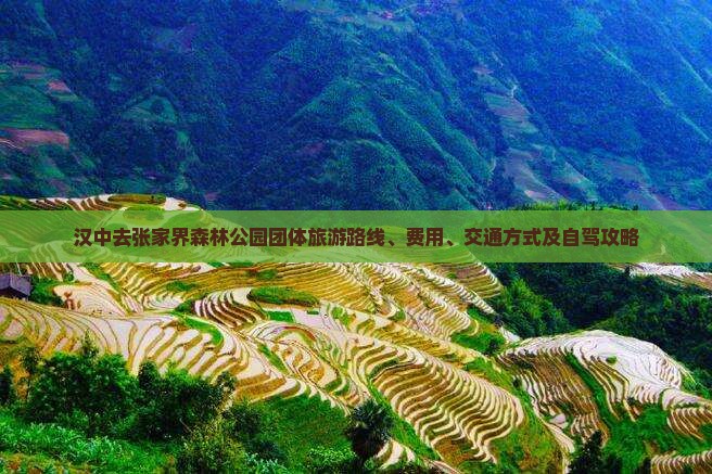 汉中去张家界森林公园团体旅游
