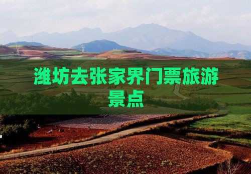 潍坊去张家界门票