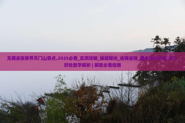 无锡去张家界天门山景点
