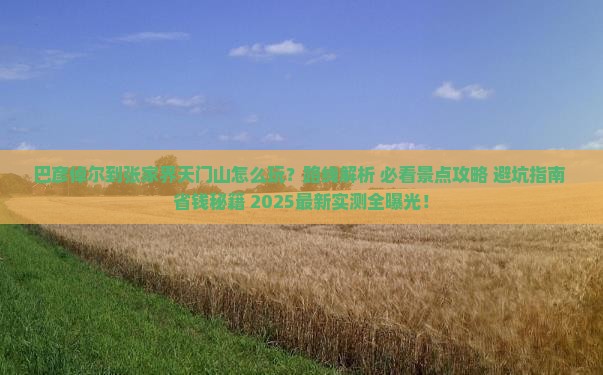 巴彦倬尔到张家界天门山哪里玩