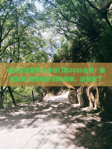 临沂去张家界大峡谷门票