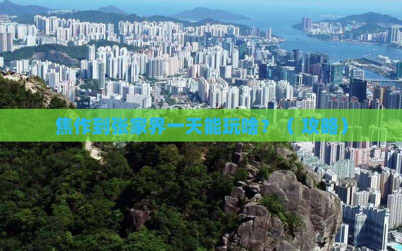 焦作到张家界一日
