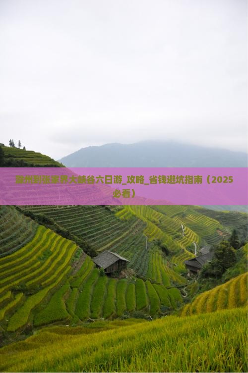 滁州到张家界大峡谷六日游
