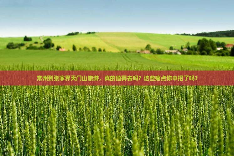 常州到张家界天门山旅游