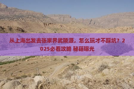 上海去张家界武陵源哪里玩