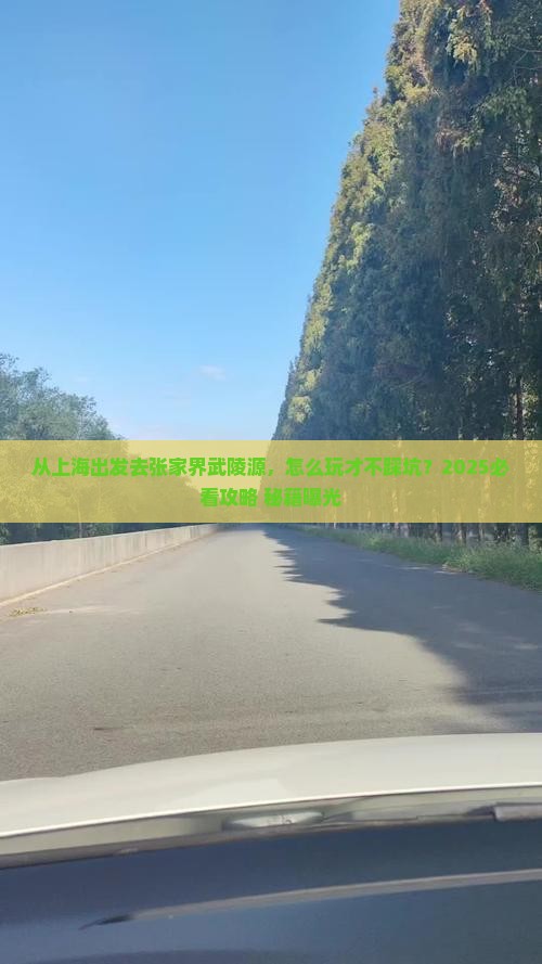上海去张家界武陵源哪里玩
