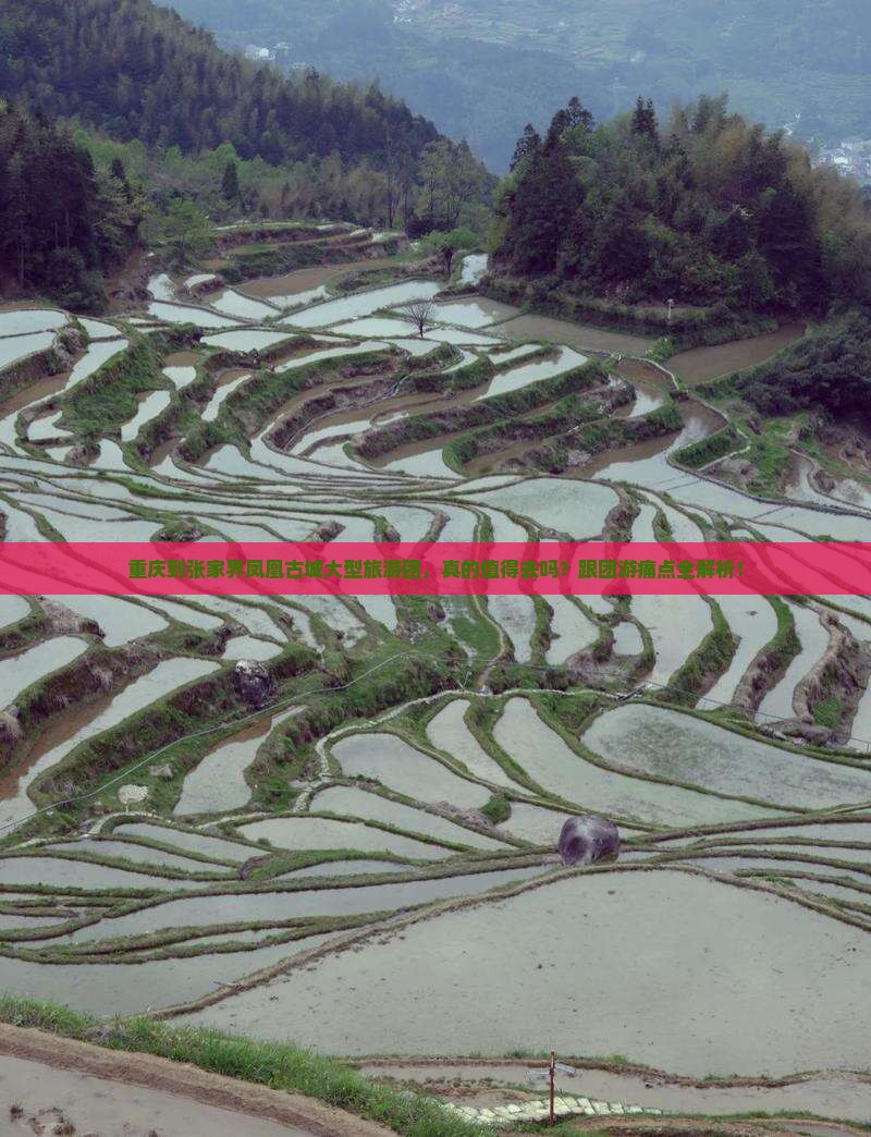 重庆到张家界凤凰古城大型旅游团