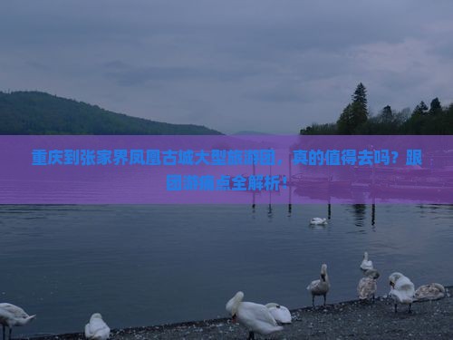 重庆到张家界凤凰古城大型旅游团