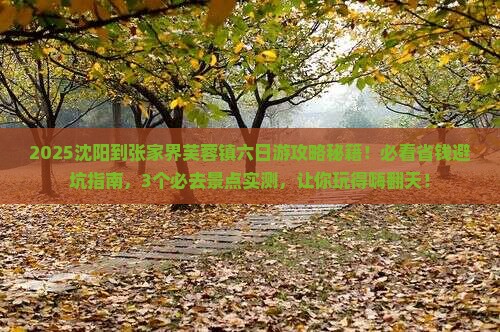 沈阳到张家界芙蓉镇六日游