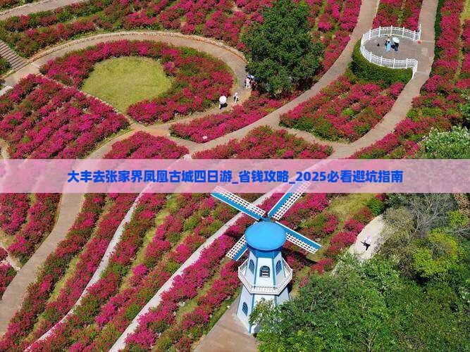大丰去张家界凤凰古城四日游