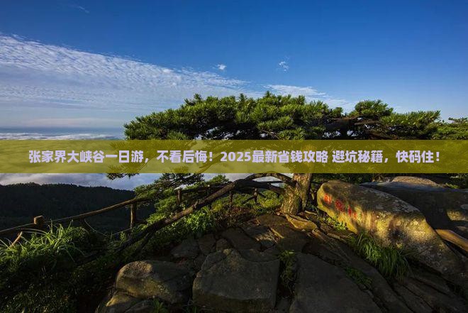 鹤壁到张家界大峡谷一日