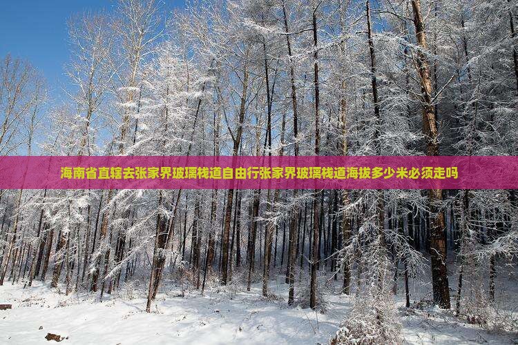 海南省直辖去张家界玻璃栈道自由行