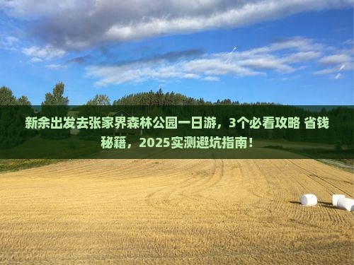 新余去张家界森林公园一日