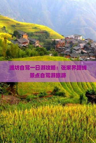 潍坊去张家界森林公园一日