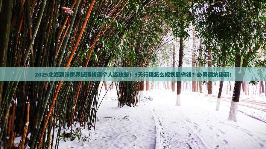 北海到张家界玻璃栈道个人游