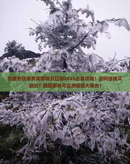 东莞到张家界芙蓉镇五日游